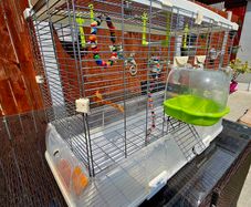 Vision by Hagen double bird cage.