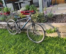 Boys Bike