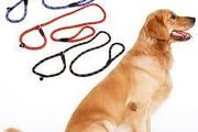 Slip-On Dog Training Lead &amp; Combined Collar (L-XL)