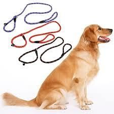 Nylon Slip On Training Lead & Combined Collar (S-M)