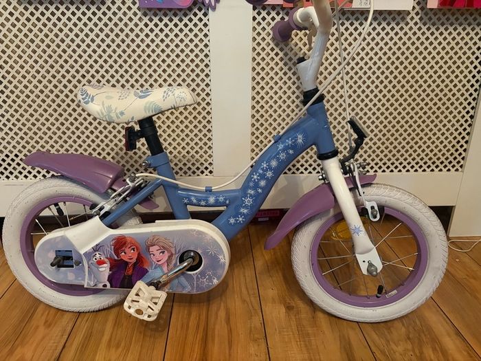 Frozen bike
