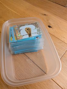 Panini World Cup 2026 Stickers To Trade Locally