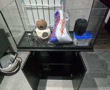 Fish tank and accessories