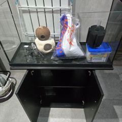 Fish tank and accessories