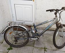 Electric bike