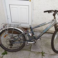 Electric bike