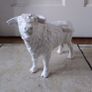 Shebeg Isle of Man : White Bull - Repaired Image 3