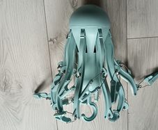 Clothes small hanger