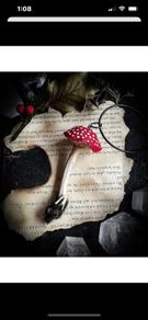 Amanita Muscaria Mushroom And Rabbit Bone Pendant Necklace with a Wooly Bottom Leather Cord
