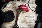 Amanita Muscaria Mushroom And Rabbit Bone Pendant Necklace with a Wooly Bottom Leather Cord