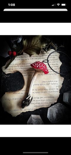 Amanita Muscaria Mushroom And Rabbit Bone Pendant Necklace with a Wooly Bottom Leather Cord