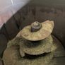Diet Feeder Image 4