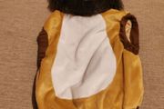 Lion costume