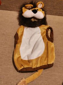 Lion costume