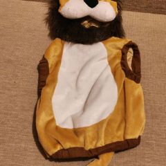 Lion costume