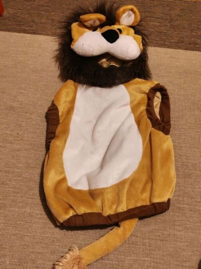Lion costume