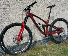 Transition Sentinel carbon