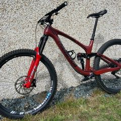 Transition Sentinel carbon