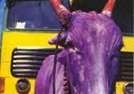 India - Lonely Planet Travel Survival Guide