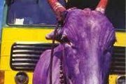 India - Lonely Planet Travel Survival Guide