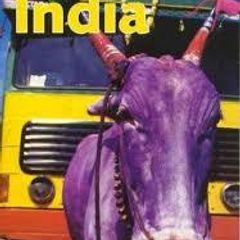 India - Lonely Planet Travel Survival Guide