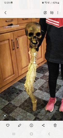 Halloween/fancy dress costume
