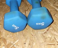 5kg x 2 dumbbells