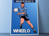main image for ad Ciaran Whelan Dublin GAA Art Prints (A3 Size)