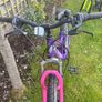 Mountain Bike Image 3