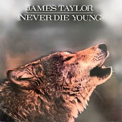 James Taylor Never Die Young Vinyl