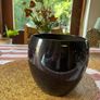 Large Glossy Black Ceramic Planter Plant Pot Image 4