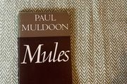 Paul Muldoon: Mules, 1st Edition, 1977 (Signed Copy)