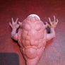 Ghostbusters Image 3