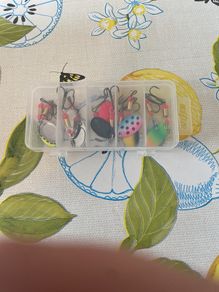 10 Fishing Spinner lures