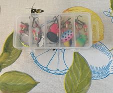 10 Fishing Spinner lures