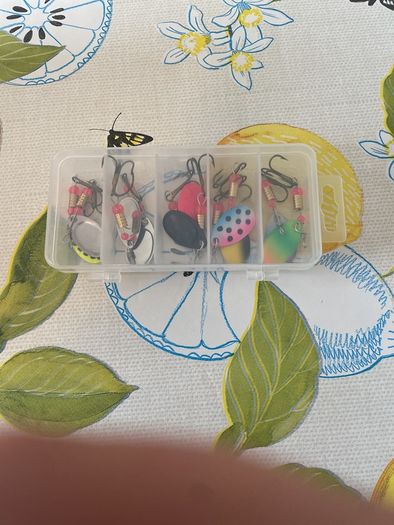 10 Fishing Spinner lures
