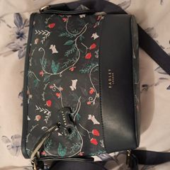 ladies handbag