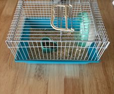 Hamster Cage