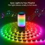 DreamColor LED Strip with Built-in IC CHIP, App, timer, music sync Image 4