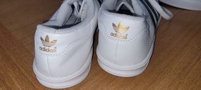 trainers