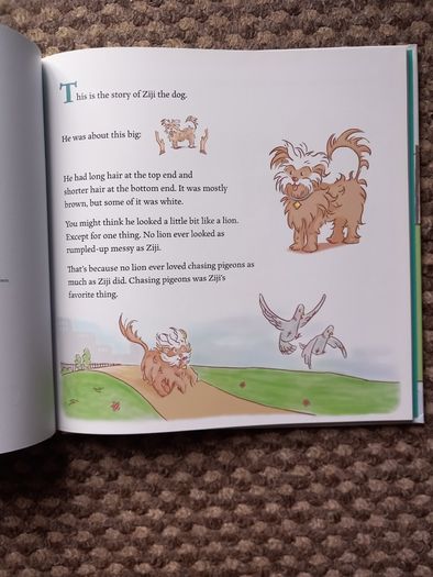 Ziji: The Puppy Who Learned to Meditate - Hardback