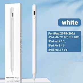 Stylus Pencil for iPad 2018 2024 | Palm Rejection | USB-C | New