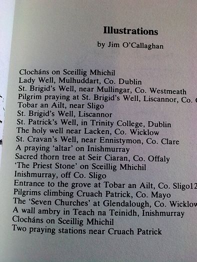 The Holy Wells of Ireland Irish history folklore