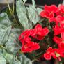hanging artificial flower Image 4