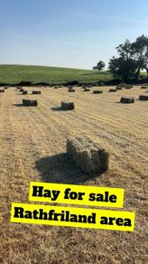 Hay for sale