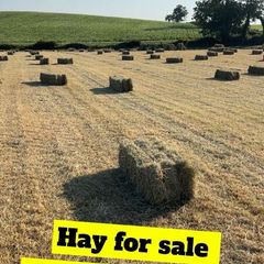 Hay for sale