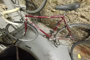 Project: vintage Raleigh Routier road bike