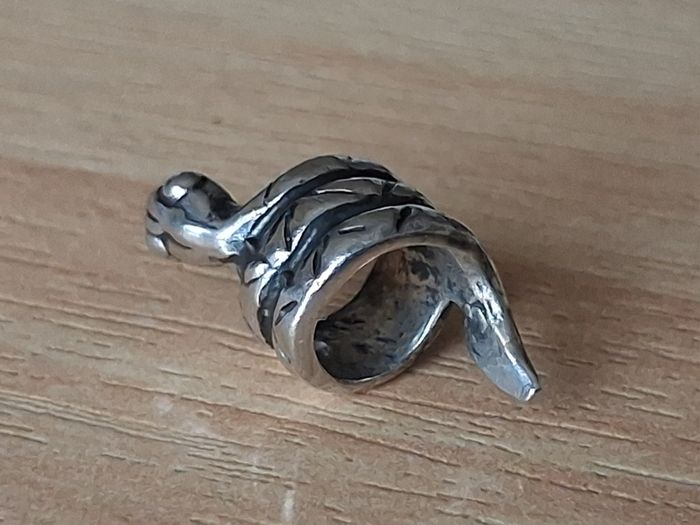 Silver snake charm