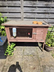 free Rabbit hutch
