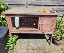 free Rabbit hutch